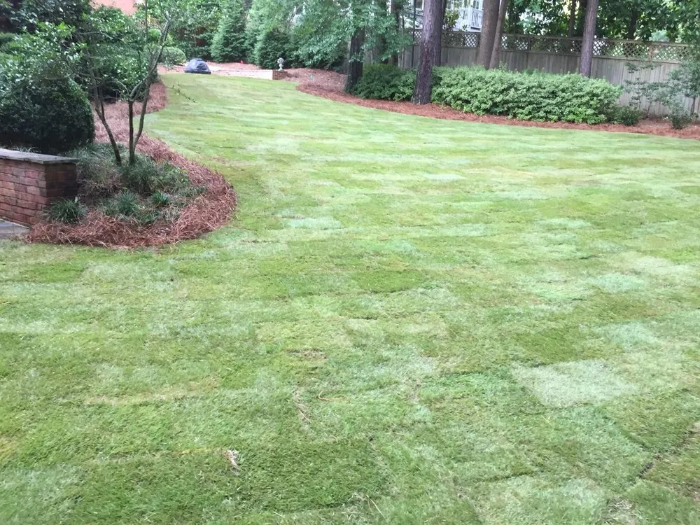 Freshly laid sod on a residential property